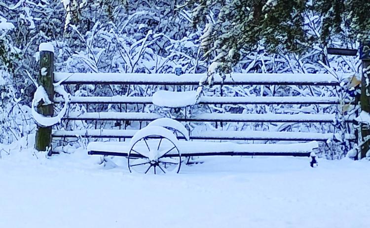 Snow blanketed Oklahoma last week. Cushing residents had reports of three to six inches of snow. Photo courtesy Etha Tinnie