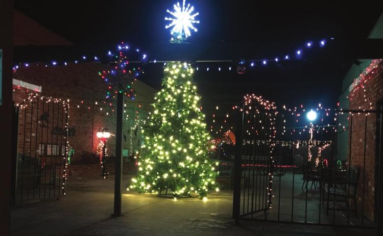 Tree Lighting brightens Centennial Park