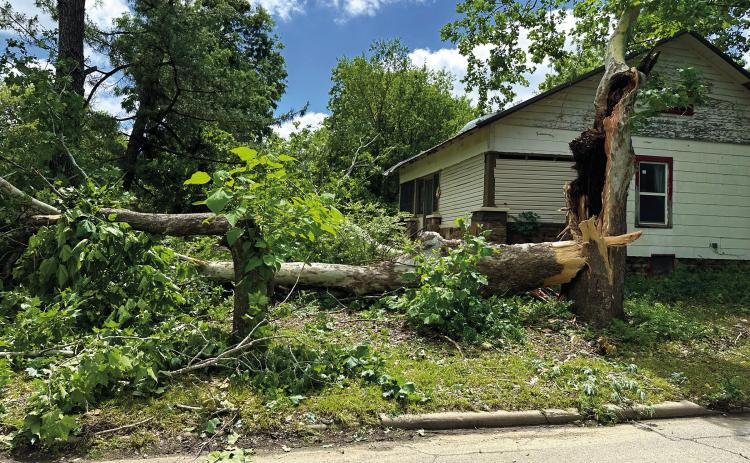 The bulk of a massive tree lies across a front yard on Steele Street in Cushing, Sunday, the morning after sever storms brought winds in excess of 80 miles an hour to the area. More photos inside. Photo by MaryLee Meisner