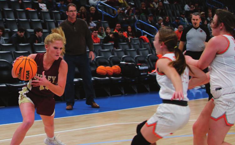 Ripley Hoops