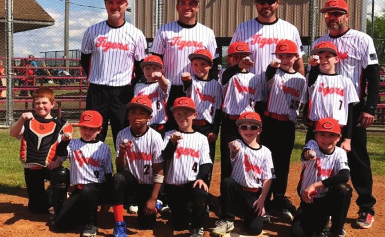 8U Tiger boys take first, girls take second at Dewey tourney