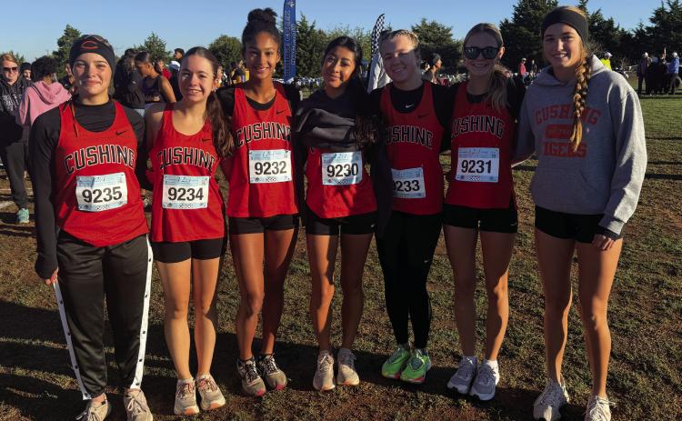 Lady Tiger varsity runners Macie Townes, Lea David, Kendall Kelley, Yohali Medrano, Pyper Hoppes, Marlee Myers and Harli York prior to their race at regionals at Bridge Creek. York finished eighth and the team qualified for state with a fourth-place finish.