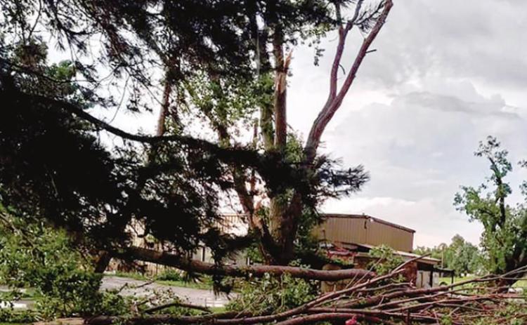 Possible Tornado Touchdown on Norfolk Road