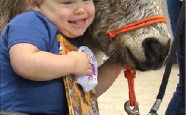 Agra first grader Allie Castor smiles big as she hugs Pete, one of the many horses cared for by The Right Path. Photo by Selah Ocker