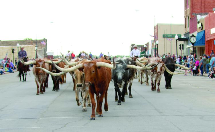 To the delight of the hundreds of people lining the streets, a herd of longhorns was driven through the Broadway District in downtown Cushing, Friday, to kick off the inaugural Turkey Track Ranch Round-up Rodeo held Saturday.