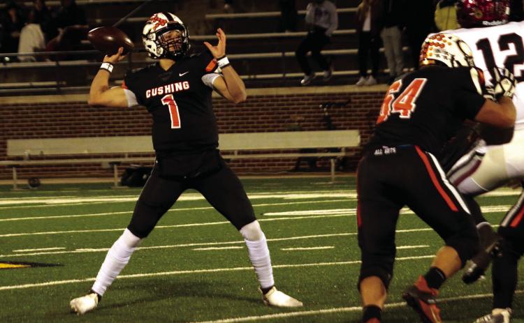 Tiger quarterback Blaze Berlowitz reaches back to throw a pass Saturday in the Class 4A final. Berlowitz threw 54 touchdown passes this season and amassed 3,654 yards of passing. Photo by J.D. Meisner