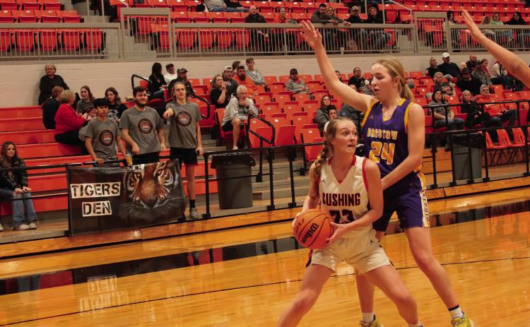 Kaitlyn Callanan scored six points and generated several turnovers against Bristow Friday. Photo by J. D. Meisner