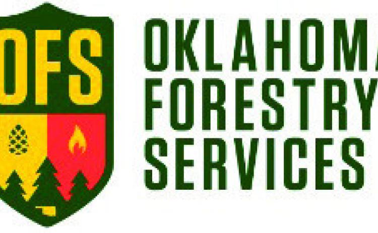 Fire Situation Report – March 4, 2024