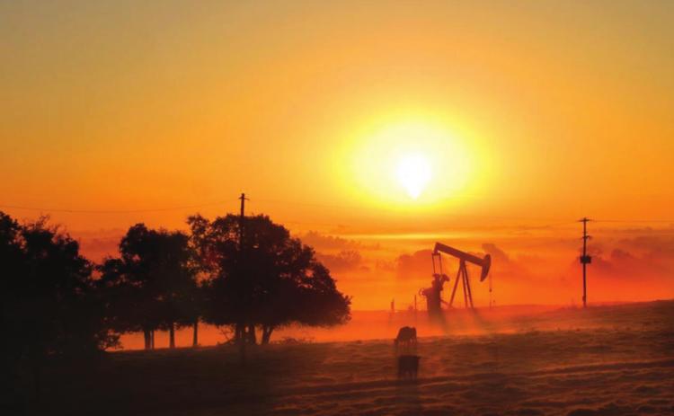 ENERGY WATCH