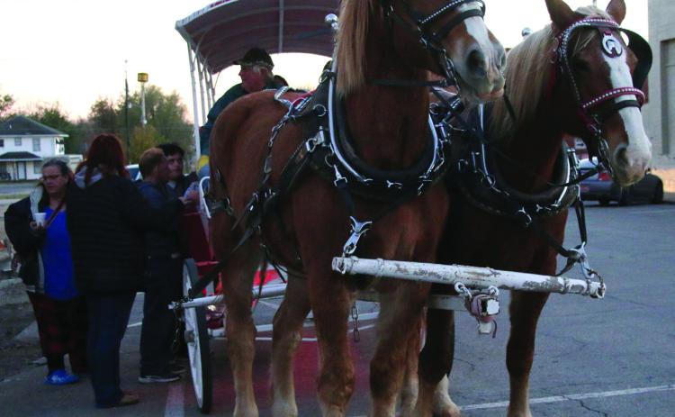 Buster and Thelma worked as a team to pull revelers around Cushing in their Christmas Carriage. The rides were presented by the Copper Penny. Photos by Allie Prater