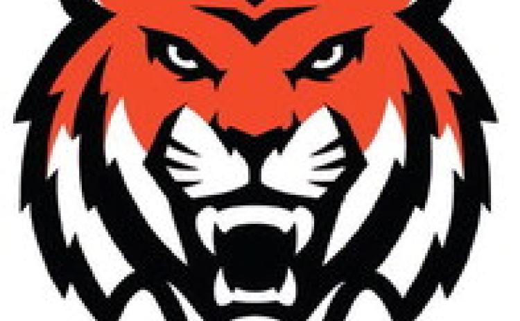 Tigers are finding out who they are