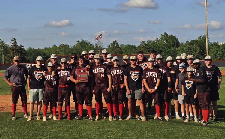 Tigers headed to State Tournament