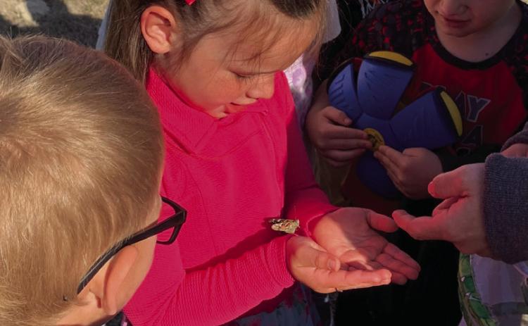 Isla Nugent gently cradles the recently transformed butterfly the Pre-K students at CPS were able to observe while learning about life cycles as one of the many hands-on projects the students participate in throughout the year.