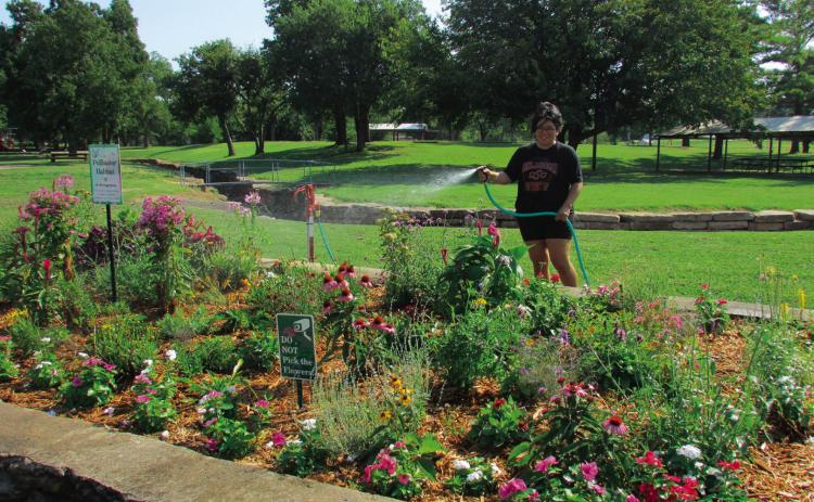 Lauren Lopez was at Memorial Park last week to keep her son’s Keep Oklahoma Beautiful project well watered. The pollinator habitat has been a high priority for Jaxon Bell but with him returning to school and additional extra curricular activities Lauren said she wanted to ensure it was kept up with so that the area can maintain its already active pollinator population. Photo by DeAnna Maddox